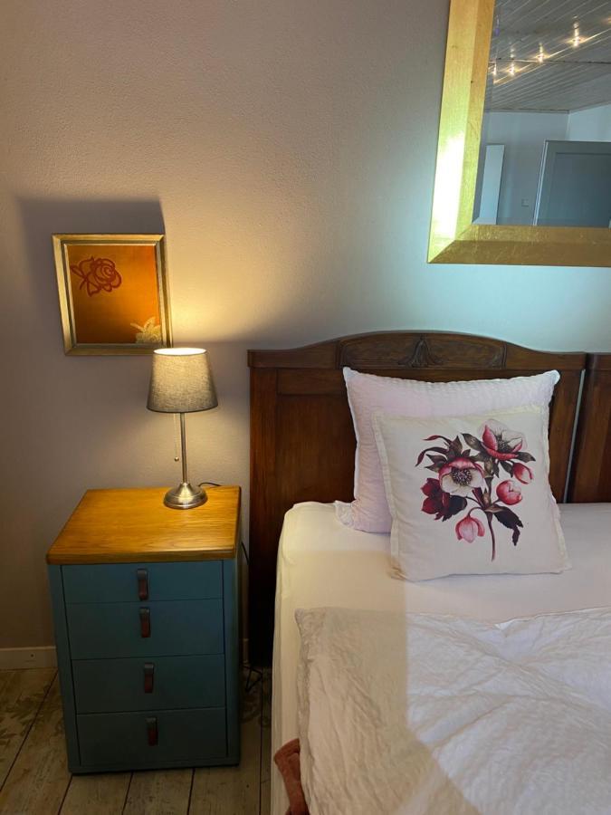 Apartmany Rudik Železná Ruda المظهر الخارجي الصورة
