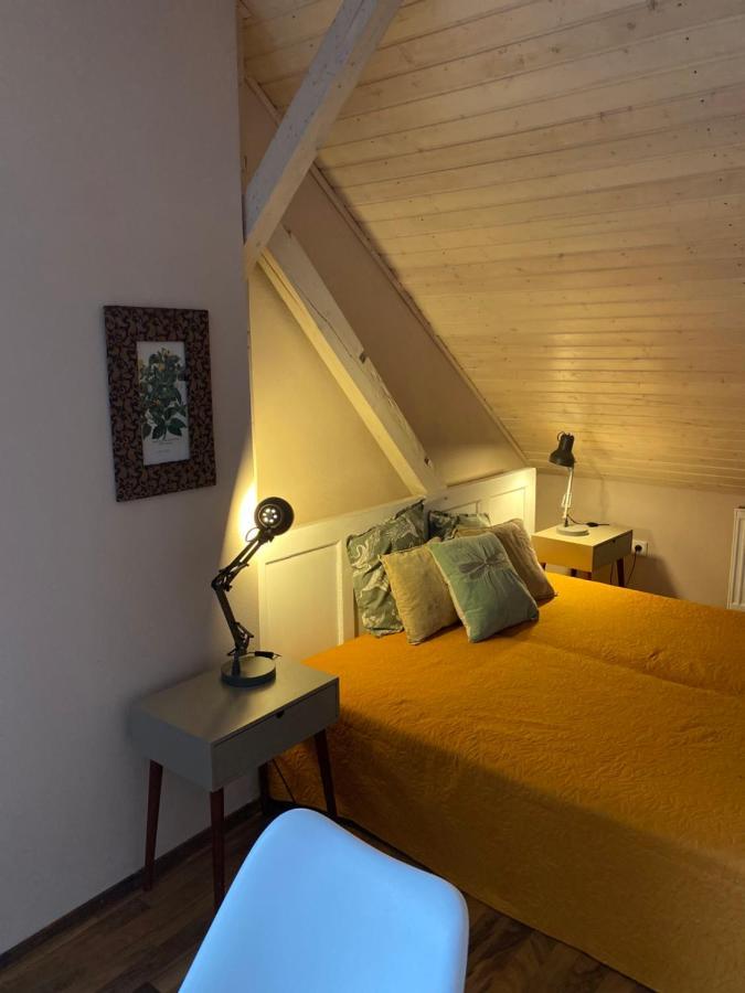 Apartmany Rudik Železná Ruda المظهر الخارجي الصورة