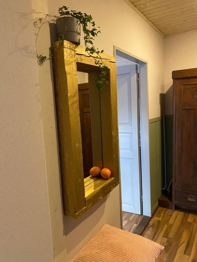 Apartmany Rudik Železná Ruda المظهر الخارجي الصورة