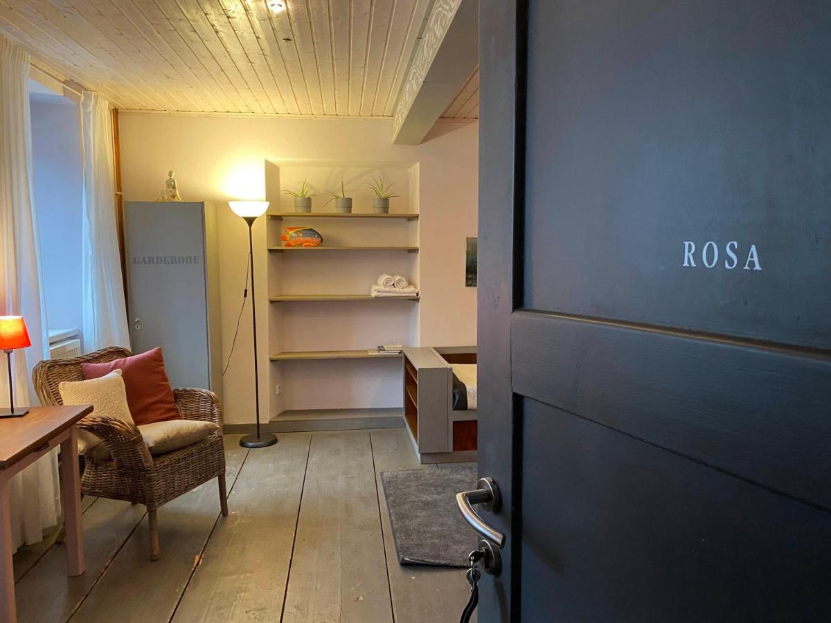 Apartmany Rudik Železná Ruda المظهر الخارجي الصورة