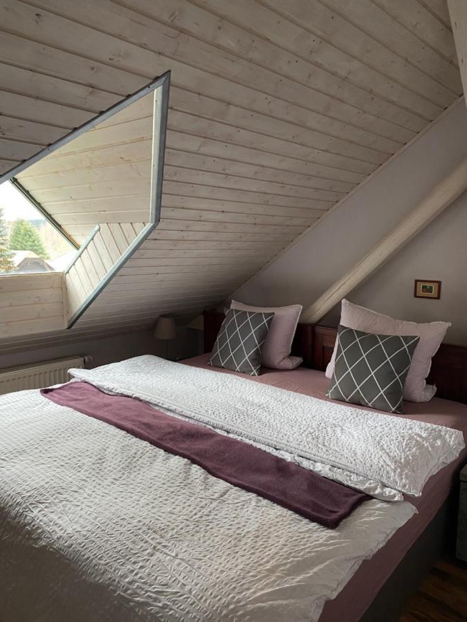 Apartmany Rudik Železná Ruda المظهر الخارجي الصورة