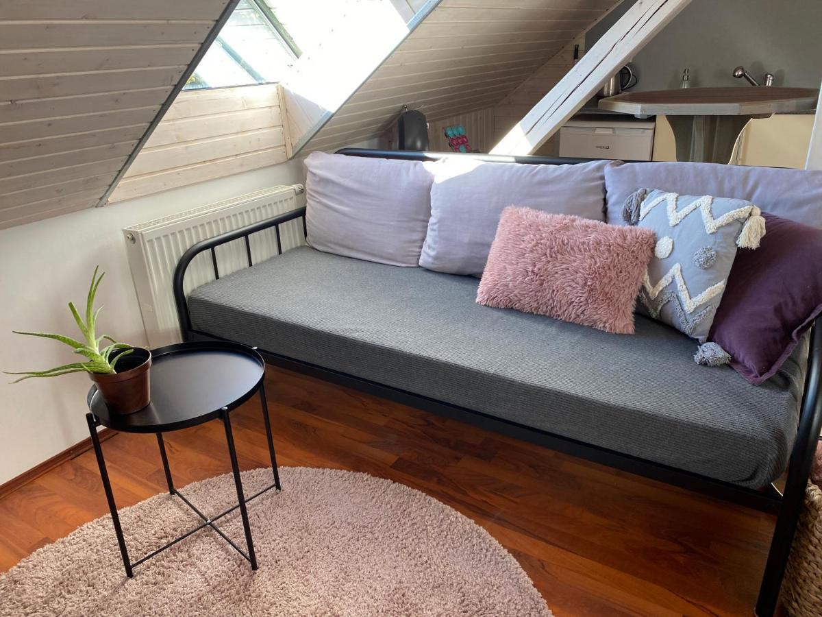 Apartmany Rudik Železná Ruda المظهر الخارجي الصورة